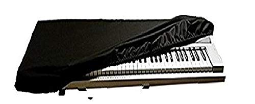 Image of casio keyboard CTK-2550, 61-Keys Standard Keyboard with Keyboard Stand /Adapter /Bag and Dust Cover Combo Pack