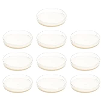 Agar Agar 10pcs Prepoured Agar Plates Agar Petri Dishes Tissue Culture Plate Agar Plates Laboratory Science Experiment Supplies Petri Dishes With Agar Jelly
