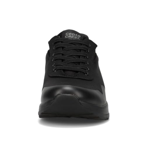 CEDARCREST『スパットシューズ（エアソールタイプ）』