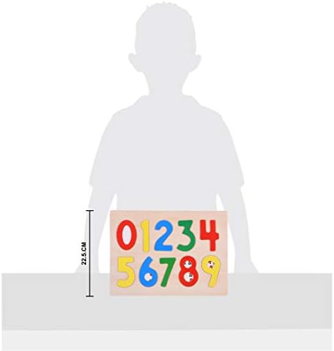 Wooden Puzzles for Kids (0-9)