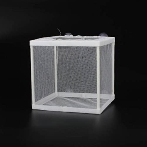 B&K Aquarium Breeder Box Fish Nylon Mesh Fish Fry Hatchery Floating Isolation Separation Net
