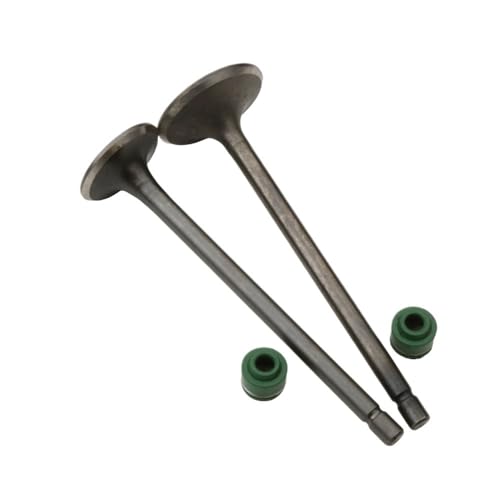 YEAACLAB Motorcycle 2PC Intake And Exhaust Valves For H-da CG110 CG125 CB125J CB125S XL125 14711-383-000 14721383000 4-Stroke Engine, YEAACLAB123
