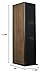 Klipsch RF-7 III Walnut Floorstanding Speaker Pair with a RC-64 III Walnut Center Channel Speaker and a RP-1600SW Subwoofer (2017)