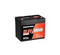 RVLithTime 12V 100Ah Mini RV Lithium Battery, Group 24 Rechargeable LiFePO4 Battery with High Cycles, 1.28kWh and Higher Energy Density, Perfect for Trolling Motors, Boat, Marine, Solar etc.