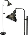 VONLUCE Floor Lamp for Living Room, 65'' Tall Industrial Floor Lamp, Adjustable Height & Head Vintage Metal Standing Reading Pole Lamp for Bedroom, Office, Farmhouse