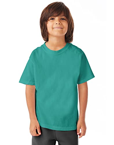 Hanes ComfortWash 5.5 oz. 100% Ring Spun Cotton Garment-Dyed T-Shirt XS Spanish Moss