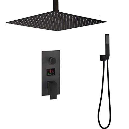 Panneau de douche pie de douche en laiton noir avec affichage LED 2 voies