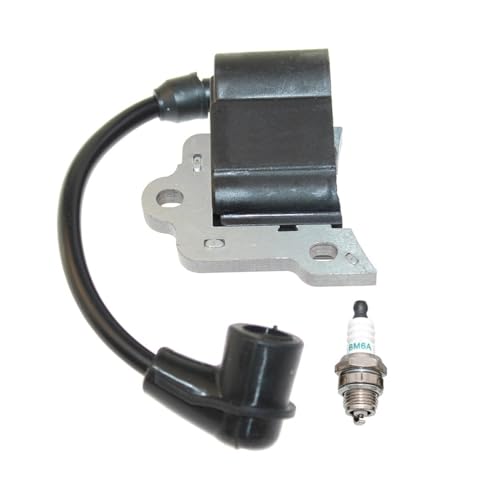 Bobine d'allumage CG22EADSLP et TCG-22EAS pour coupe-bordure 6699463