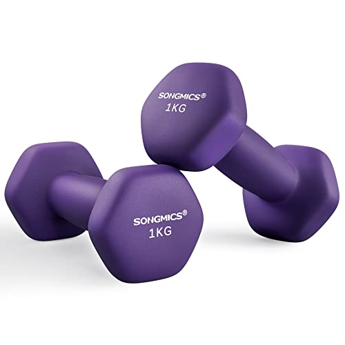 2 x 1 kg, viola cenere