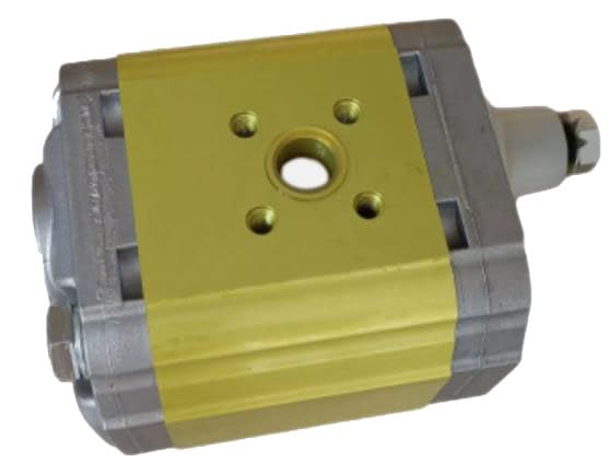 Solarhome New Gear Pump 05813227 Compatible with Bomag Road Roller BW217D