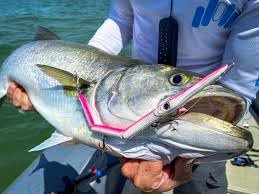 Le Jointed 255 vert Jack Fin Marlin Blue idéal pour vos sorties de pêche en mer - 2