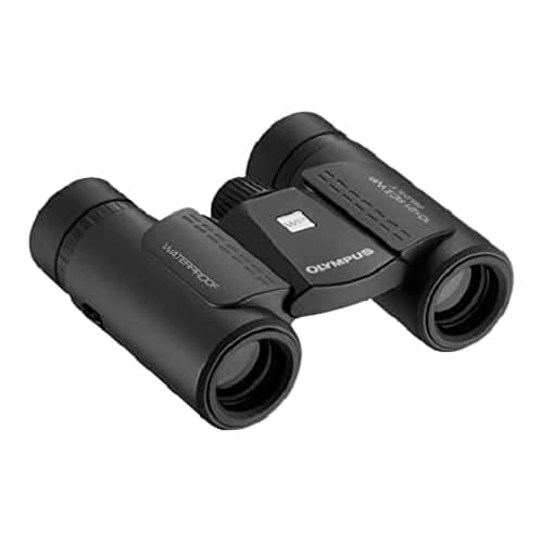 Olympus 10x21 RC II WP schwarz