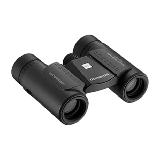 Olympus 10x21 RC II WP schwarz