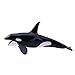 Spot The Killer Whale | Wiki | Fandom