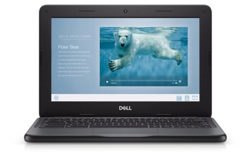 Dell Chromebook 3100 Business Laptop, 11.6 Inch Notebook, Intel Celeron N4020, 4GB RAM, 32GB SSD, QWERTY Tastiera, Chrome OS (ricondizionato)