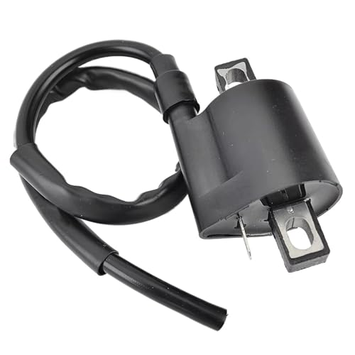 Bobina de encendido para solucionar fallos de arranque en tu Suzuki QuadRunner 33410-02C01 3