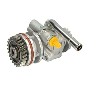 SPIDAN Hydraulikpumpe Lenkung 54273 mit Dichtungen