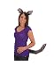 Jacobson Hat Company Women's Adult Wolf Ears Headband and Tail Set