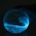 The Living Bioluminescent Bio-Orb (Large 6