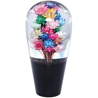 ノブlll 414xPYmWIML.jpg_BO30,255,255,