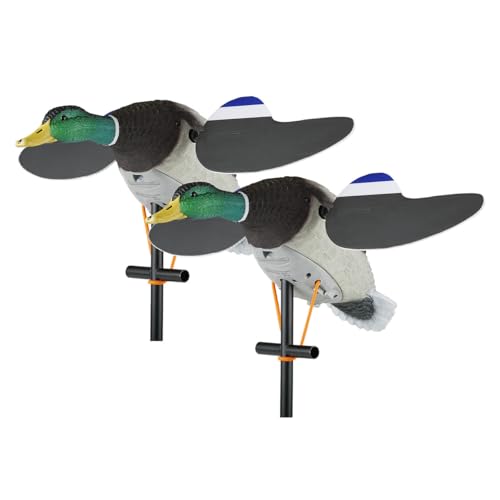 Lucky Duck Lucky Junior Drake Mallard Decoys Twin Pack