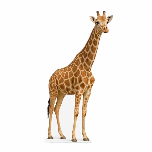 Image of Giraffe 2FT Life Size Cardboard Cutout - A Fun Animal Standup for Photo Booths, Birthday Parties, and Events