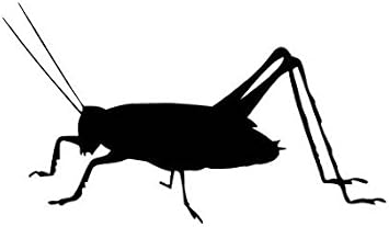 Ranger Products Cricket Insect Pest - Vinyl Decal Sticker, Die Cut Vinyl Decal for Windows, Cars, Trucks, Tool Boxes, laptops, MacBook - virtually Any Hard, Smooth Surface