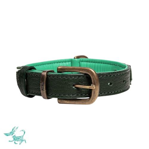 Dog with a Mission - Hundehalsband M | Leopard, Grün, Braun | Boho, Ethno, Urban, Hippie | Ideal für mittelgroße Hunde | Handgemacht, Bunt und Modisch Design, Luxe | 2,5 cm Breit