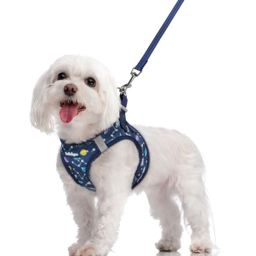 Image of rabbitgoo Dog Harness Medium Sized and Leash Set, Step-in Puppy Pet Vest