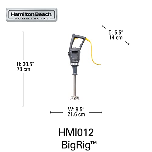 Hamilton Beach Commercial Bigrig™ Immersion Blender - Hmi012 #TOP7