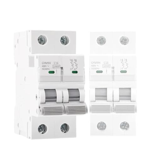 Disjoncteur 220V 10KA MCB 2P 63A Courbe C pour tableau électrique