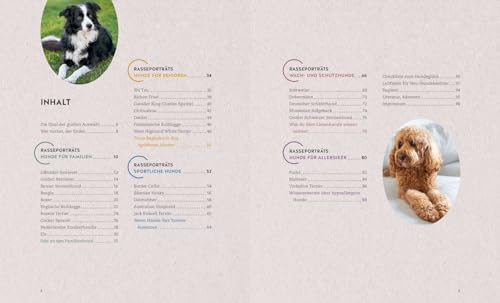 Finde den Hund, der zu dir passt: Sportskanone, Familienhund oder Sofapartner – Der ideale Begleiter für deinen Alltag. Mit den 30 beliebtesten Hunderassen (GU Mensch-Hund-Beziehung)