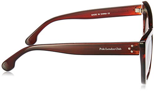 Óculos de sol óculos de sol, Polo London Club, Feminino, marrom, Único