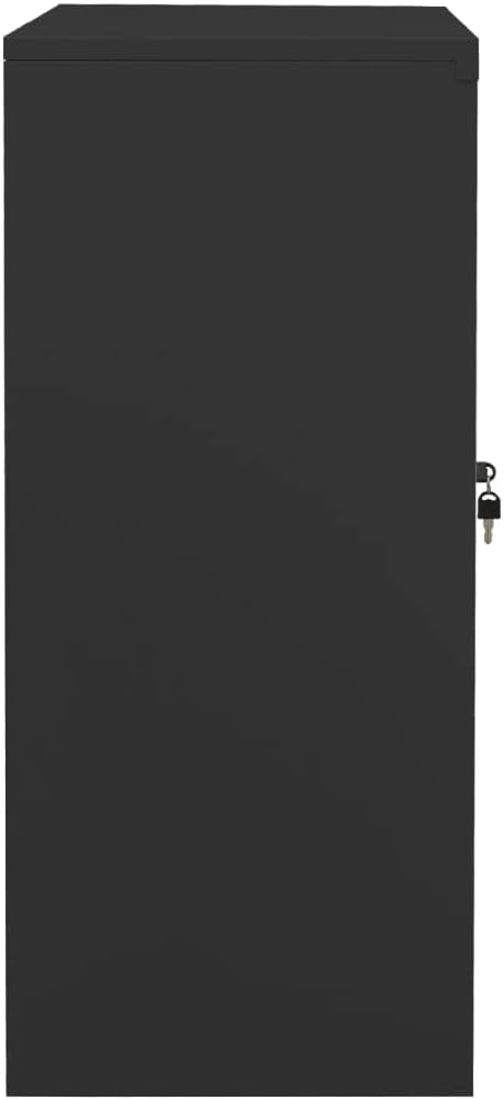 Metal Office Storage Cabinet with Tempered Glass Door, Anthracite Steel Storage Cabinet with Locking Doors and Adjustable Shelf, Small Cabinet for Garage, Office 35.4"x15.7"x35.4"