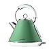HUINING Bollitore elettrico, bollitore elettrico in acciaio inossidabile, 1,8L, 1800 w, spegnimento automatico, bollitura rapida, adatto a qualsiasi design di cucina retrò (Dark Green)
