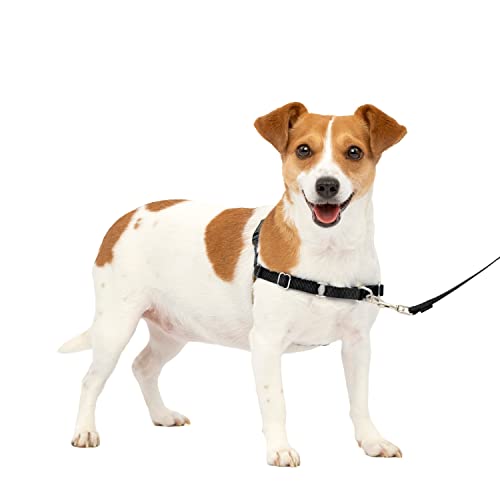 PetSafe Easy Walk, Pettorina Anti-tiro per Cani, per l'Addestramento con Guinzaglio e Pettorina, Impedisce al Cane di Tirare e Strozzarsi Nero, S, Piccolo