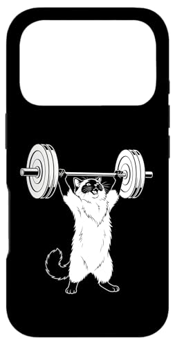 Ragdoll Cat Gym Fitness Lifting Squad �L�D������ �X�}�z�P�[�X iPhone 17 Pro �p