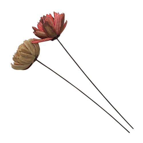 Ramillete Natural de Flores Secas Healeved 2 unidades miniatura 1