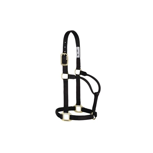 Weaver Leather Original Non Adjustable Halter (Black, Avarage Horse/Yearling Draft)