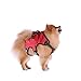 AnyPet Dog Harness, Small No Pull Harness for Dogs