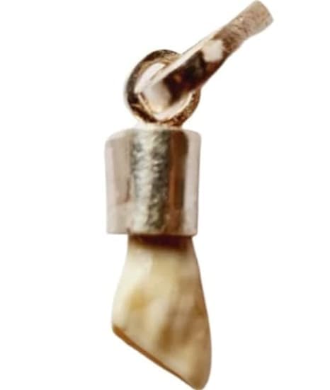 Vighnaharta Ganesh Ketu Mani Stone Lab Certified With Pure Silver Locket | To Reduce and Remove Impact of Ketu | White | (Weight Can Differ Due To Natural Occurrence Of Stones) (B0CK5ZGCF6) Amazon Price History, Amazon Price Tracker