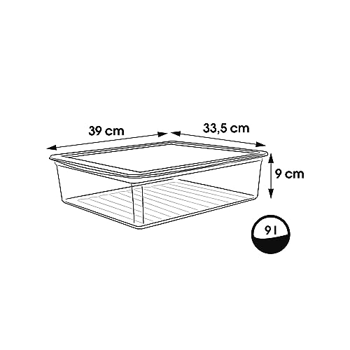 keeeper Aufbewahrungsbox mit Air Control System, 39 x 33,5 x 9 cm, 9 l, Bea, Transparent