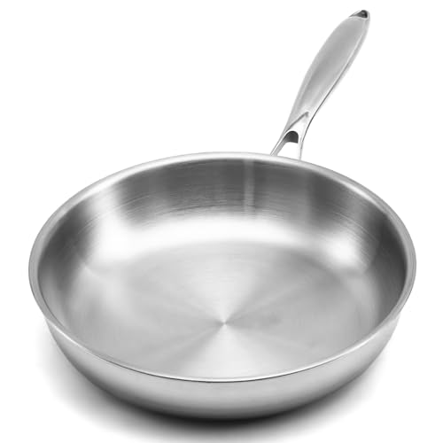 WANGYUANJI 10.2" Stainless Steel Frying Pan for 1-3 Servings, Tri-Ply Skillet for Searing Steaks & Frying Eggs, 18/10 (304) Induction Pan, Oven Safe Up to 500°F
