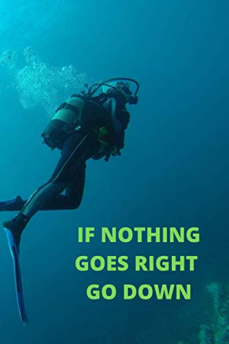 If nothing goes right go down: Scuba diving logbook for women/men/kids/adults/diver
