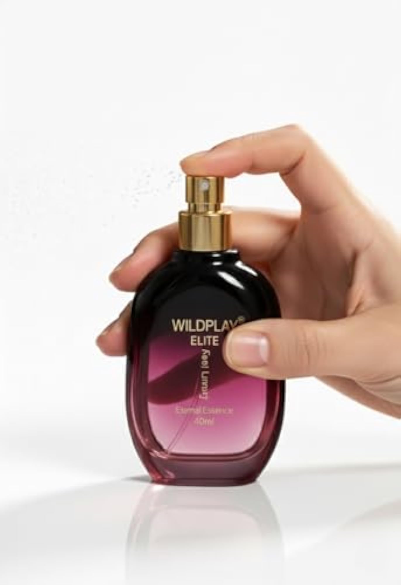 Celestia Noir & Eternal Essence Perfume Combo, 40ml