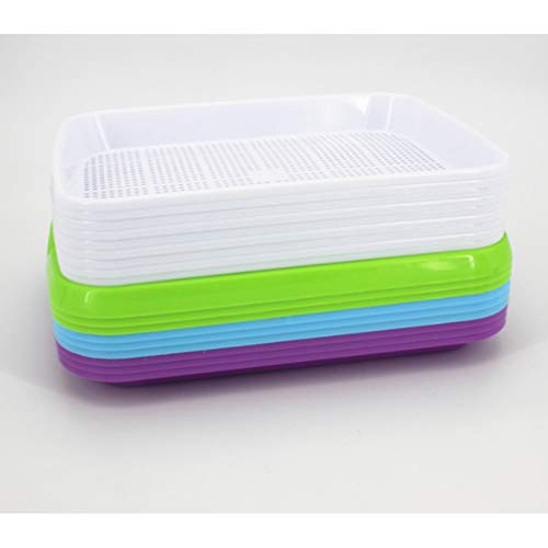 Hemoton Bandeja de germinação Blue Sprouter para planta e berçário, bandeja de germinação, cultivado