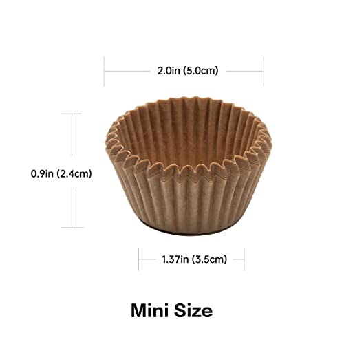 Mini Cupcake Liners