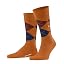 Orange Blush 8415