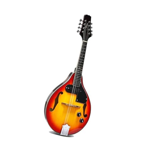 }h yD gbvXv[XAR[XeBbNM^[ 8 z[FTEhz[ }hy