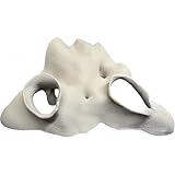 NEIQIUWING Escondite de esquina de terrario para acuario, raíz de manglar artificial, reptil de aspecto natural